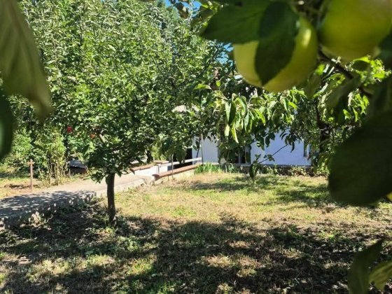 Половина будинку з окремим двором біля Софіївки Умань