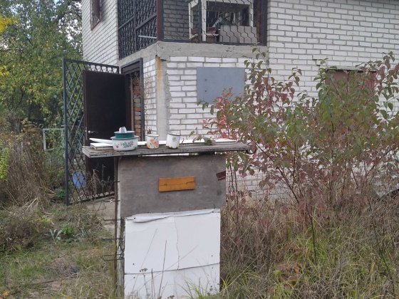 Продаж заміського будиночку, дачі Фастов