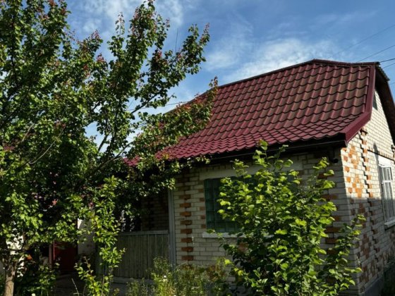 Дача на Заставі Корператив Прогрес Шептицький