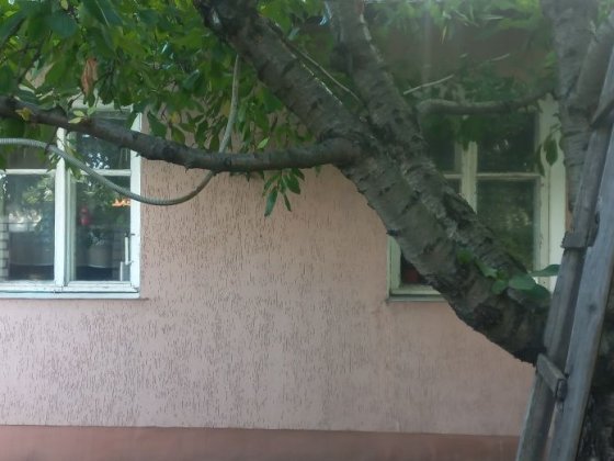 Продам дом в Чугуеве. Чугуев