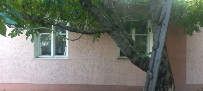 Продам дом в Чугуеве. - фото 1