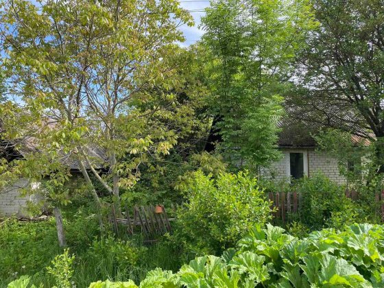 Терміново!!! Продам ділянку з будинком! Лісові Гринівці! Хмельницький