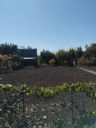 Дачный участок СТ"Алексеевский" - фото 1