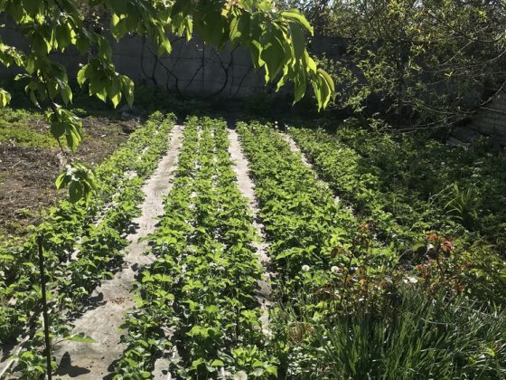 Продам дом город Никополь