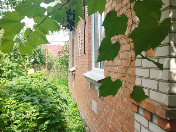 Продається цегляний будинок Ладыжин