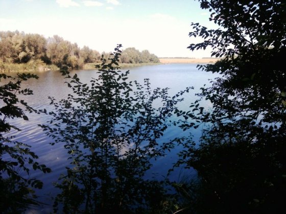 Продам земельну ділянку під будівництво (будинок) Липовец