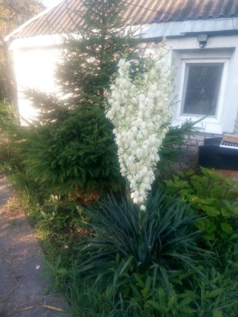 Дача в г Подгородное - фото 1