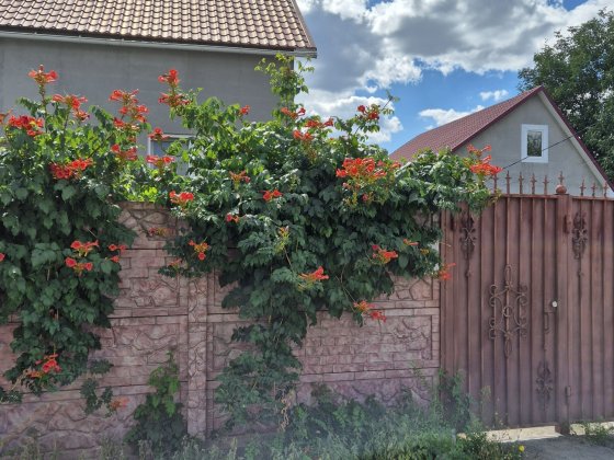 Продам будинок у Підгороднєму Підгородне