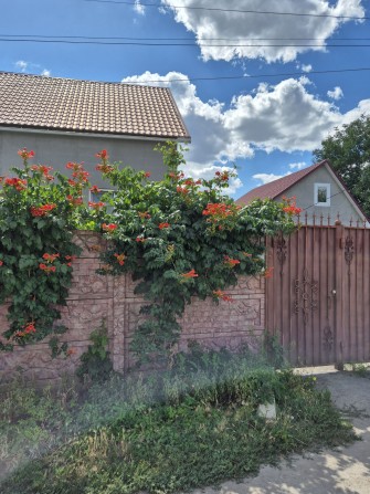 Продам будинок у Підгороднєму - фото 1