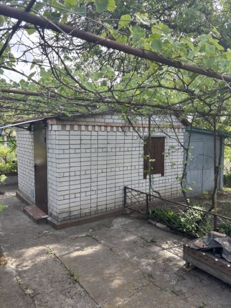 Продам дачу «Сади прогрес» маяк-3, Волосське, Новоолександрівка - фото 1