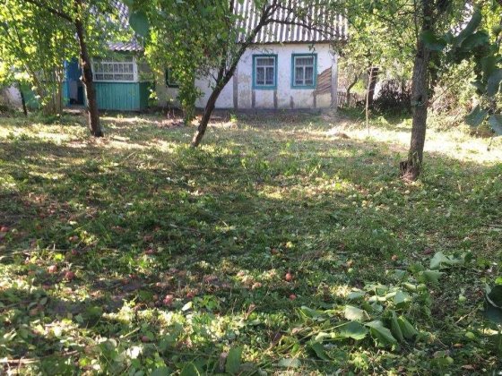 Продам будинок   с. Барашевка Барашевка