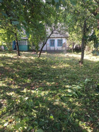 Продам будинок   с. Барашевка - фото 1