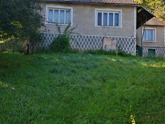 Будинок в с.Сасівка Свалява