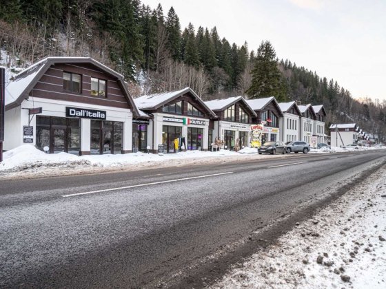 Продається двоповерховий комплекс в селі Татарів Татарів