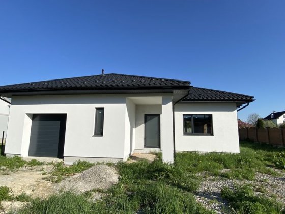 Одноповерховий особняк 140 м² з гаражем і ділянкою 12 соток Драгомирчаны