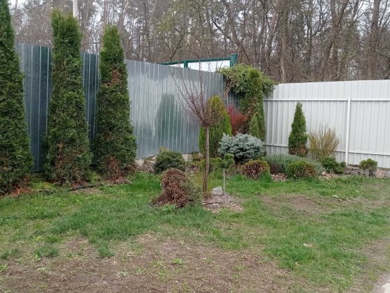 Ділянка 30 соток зі старим будинком, Ворзель, ідеально під забудову Ворзель