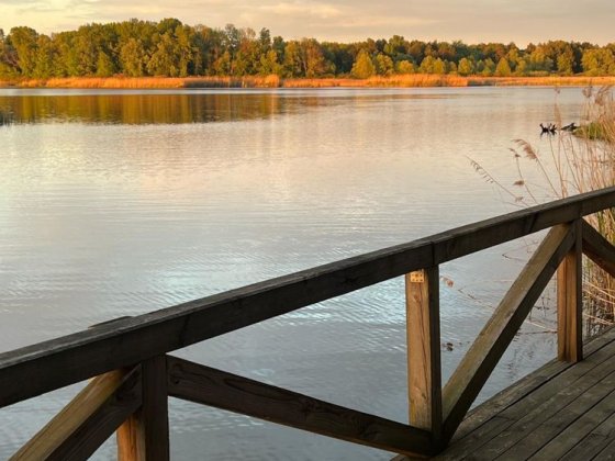 Без коміссії. Продаж будинка в Конча-Заспі на дамбі. Вихід на Дніпро