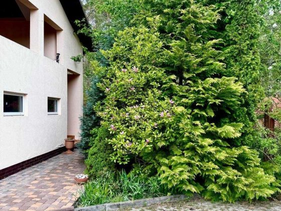 Будинок з видом на Карпати всього 15 хвилин від Киева. 32 сотки землі Стоянка