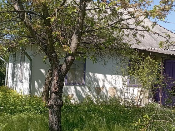 Продам будинок у с. Ольшаниця Рокитное