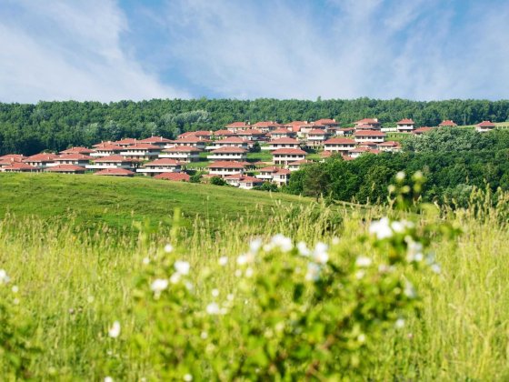 Продаж будинку, Маєток. Перлина Італії, с. Іванковичі. Іванковичі