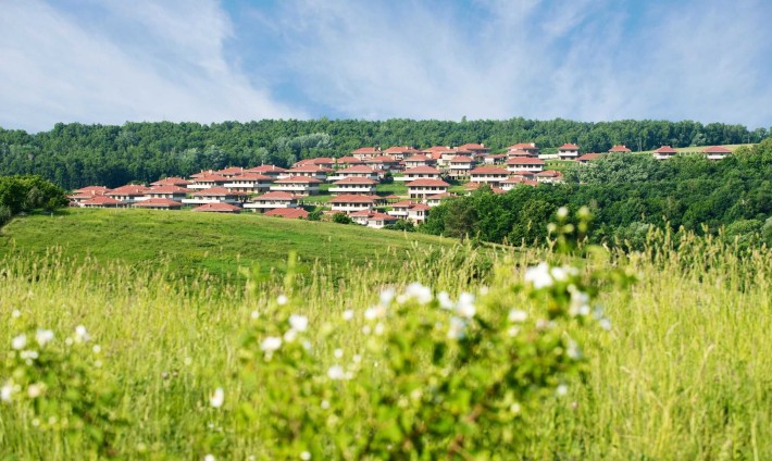 Продаж будинку, Маєток. Перлина Італії, с. Іванковичі. - фото 1