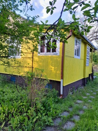 Дача, Ялинка. Электр. Без Торгу. Обмiн та свою цiну не пропонувати. - фото 1