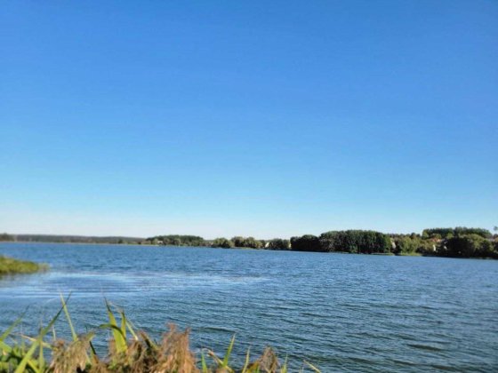 Продам дачу на березі Бучанського водосховища Забуччя с/т Старі мости Михайлівка-Рубежівка