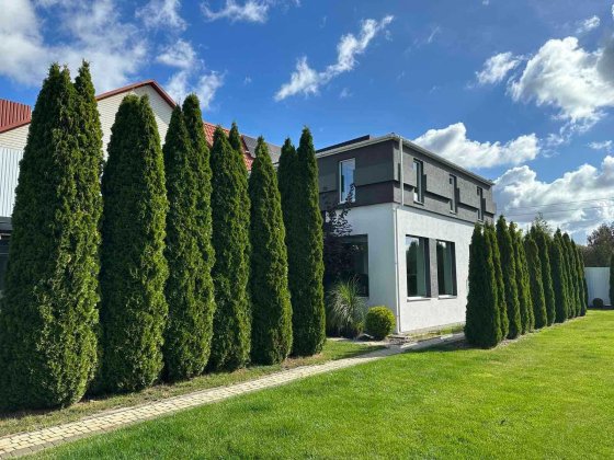 Будинок з ландшафтним дизайном. Михайлівка-Рубежівка