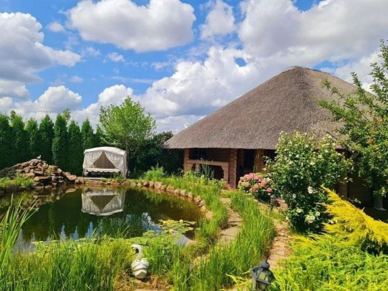 С.Новое, дом из натурального сруба Новое