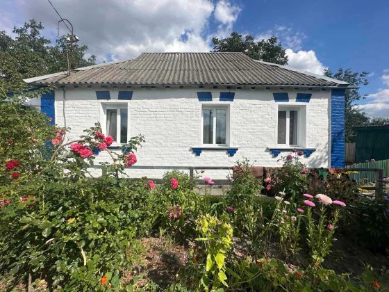 Мальовничий будинок у с. Плесецьке Плесецьке