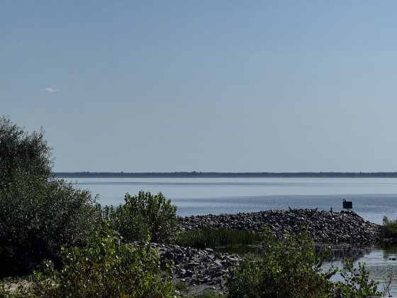 Продається будинок в Старих Петрівцях Старі Петрівці