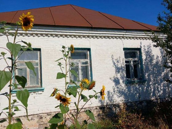Продаж Будинку в с. Требухів, вул. Липнева ( Крупської) Требухов