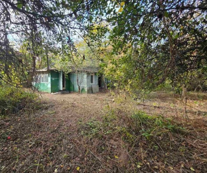 Продам дачу СТ Агро / с.Чубинське біля Борисполя - фото 1