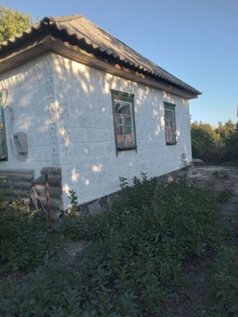 Продам будинок в смт. Новоархангельськ - фото 1