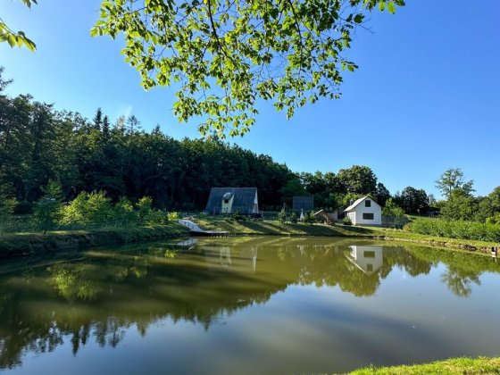 Продаж будинку біля лісу та озера Самбір
