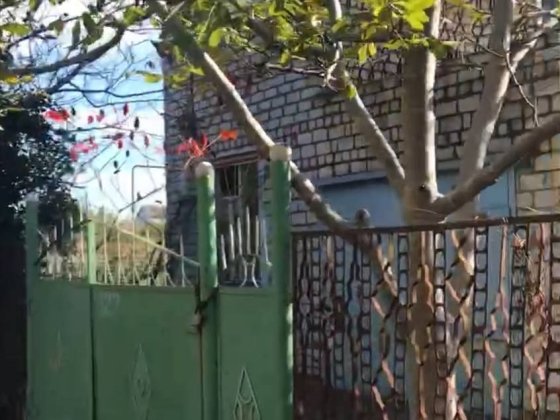 Дача за смт Лупарево Миколаївська область Лупареве