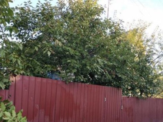 Продаю Дачу СТ Сосновое Баловне