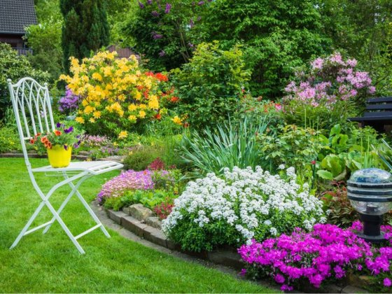 Дом в Лесках — море счастья внутри и снаружи Лески