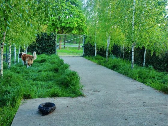 Современный дом вашей мечты в Лесках Лески