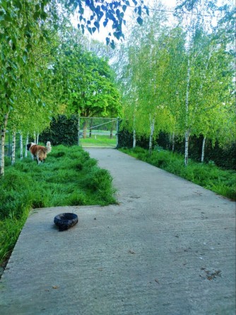 Современный дом вашей мечты в Лесках - фото 1