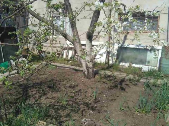 Дом - дача в ближайшем пригороде Одессы с. Светлое. Светлое