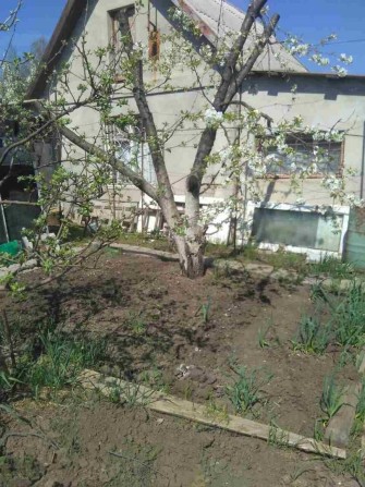 Дом - дача в ближайшем пригороде Одессы с. Светлое. - фото 1