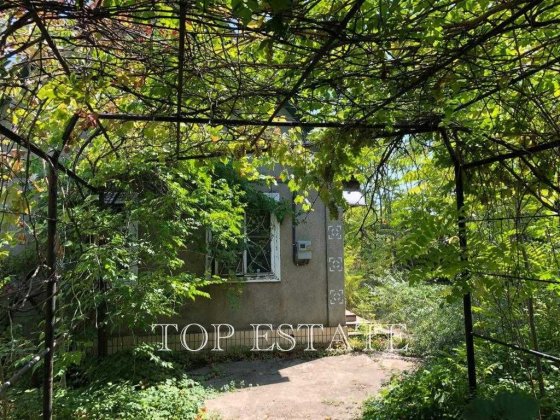 Дача, Затока, 8,2 сотки Затока