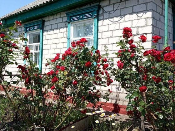 Продам дом в селе Кривуши ,Кременчугского района,улица Первомайская 8 Кривуши