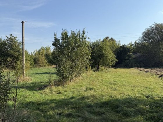 Продаж землі та старого будинку В Омеляна Велика Омеляна