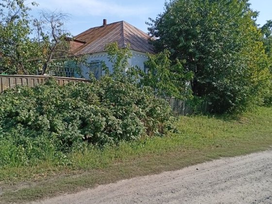 Продам будинок в Олександрівці  з великим садом Буринь
