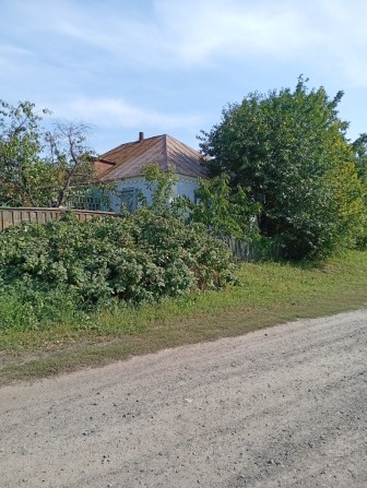 Продам будинок в Олександрівці  з великим садом - фото 1