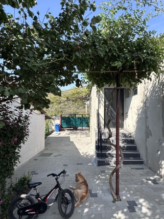 Продам два дома на одной территории - фото 1