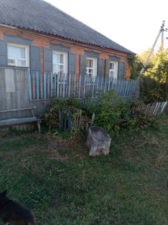 Продам дім в Богодухові. - фото 1