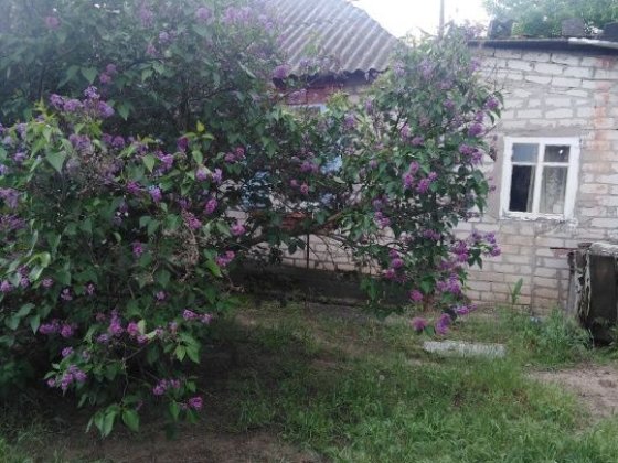 У продажу будинок у Безлюдовка Безлюдовка